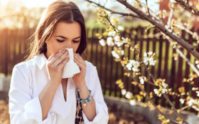 Surviving Texas Allergies
